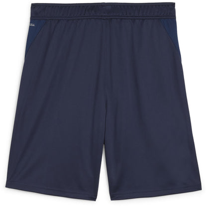 Puma Team Goal Training Shorts Senior