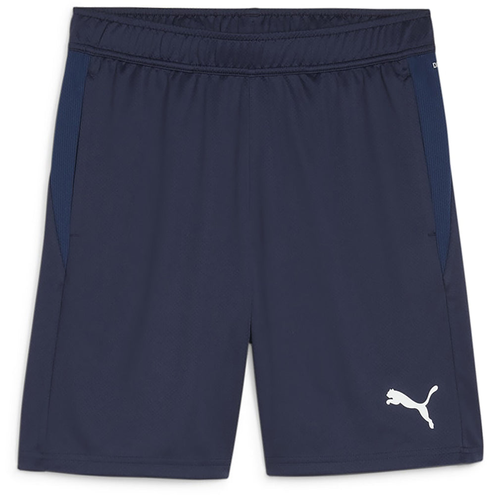 Puma Team Goal Training Shorts Senior
