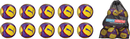 Puma Vitoria Footballs - Pack of 10