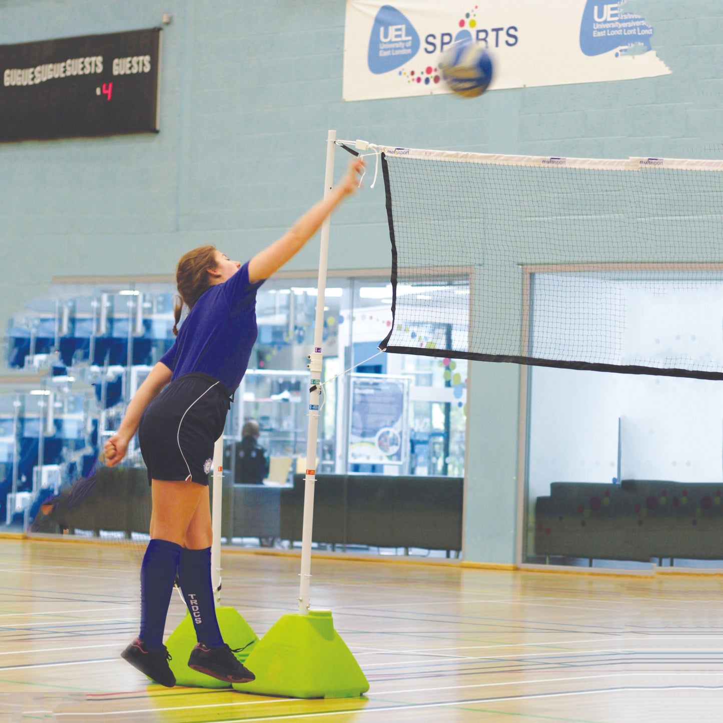 Multisport Bases & Net System