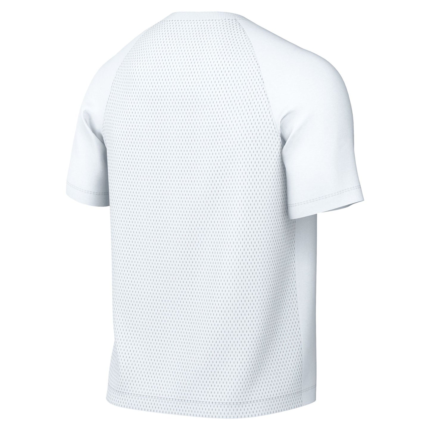 Nike Park VIII SS Jersey Senior