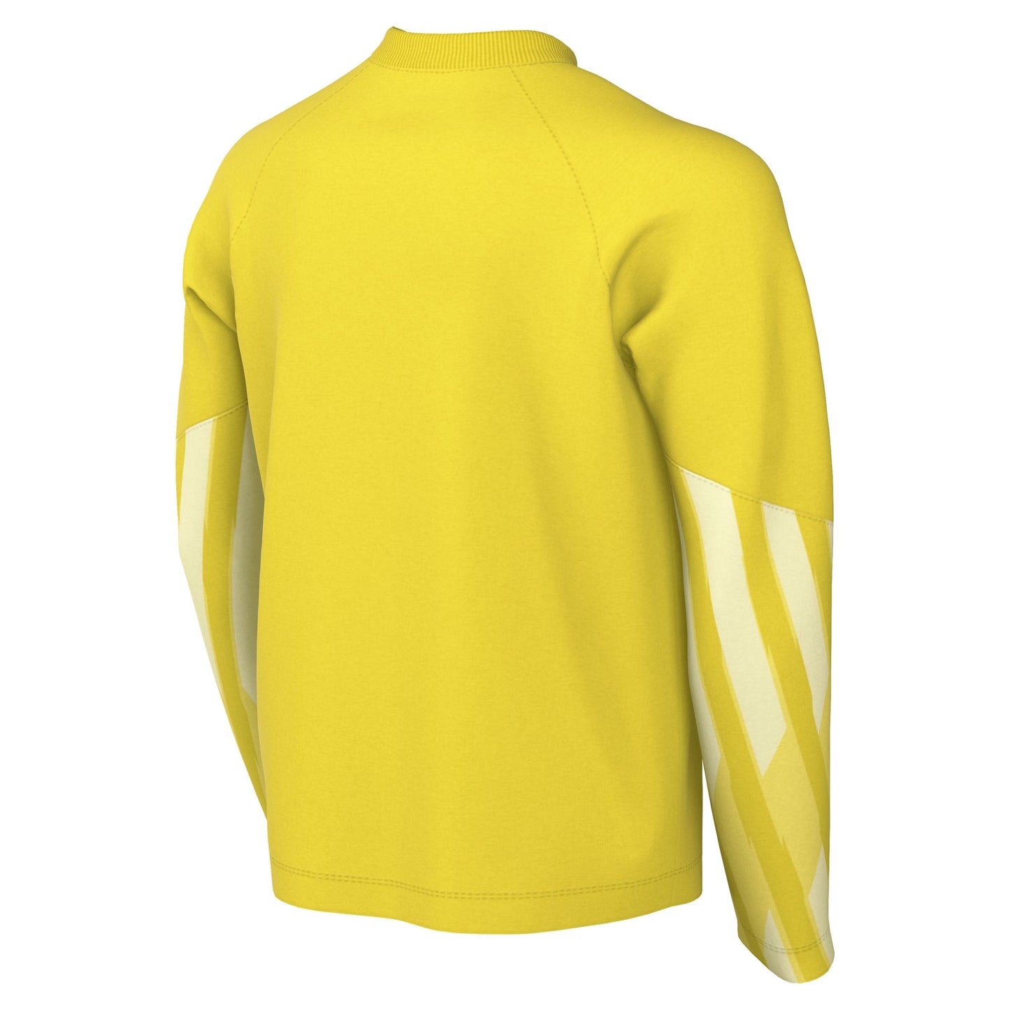 Nike Park V LS GK Jersey Senior