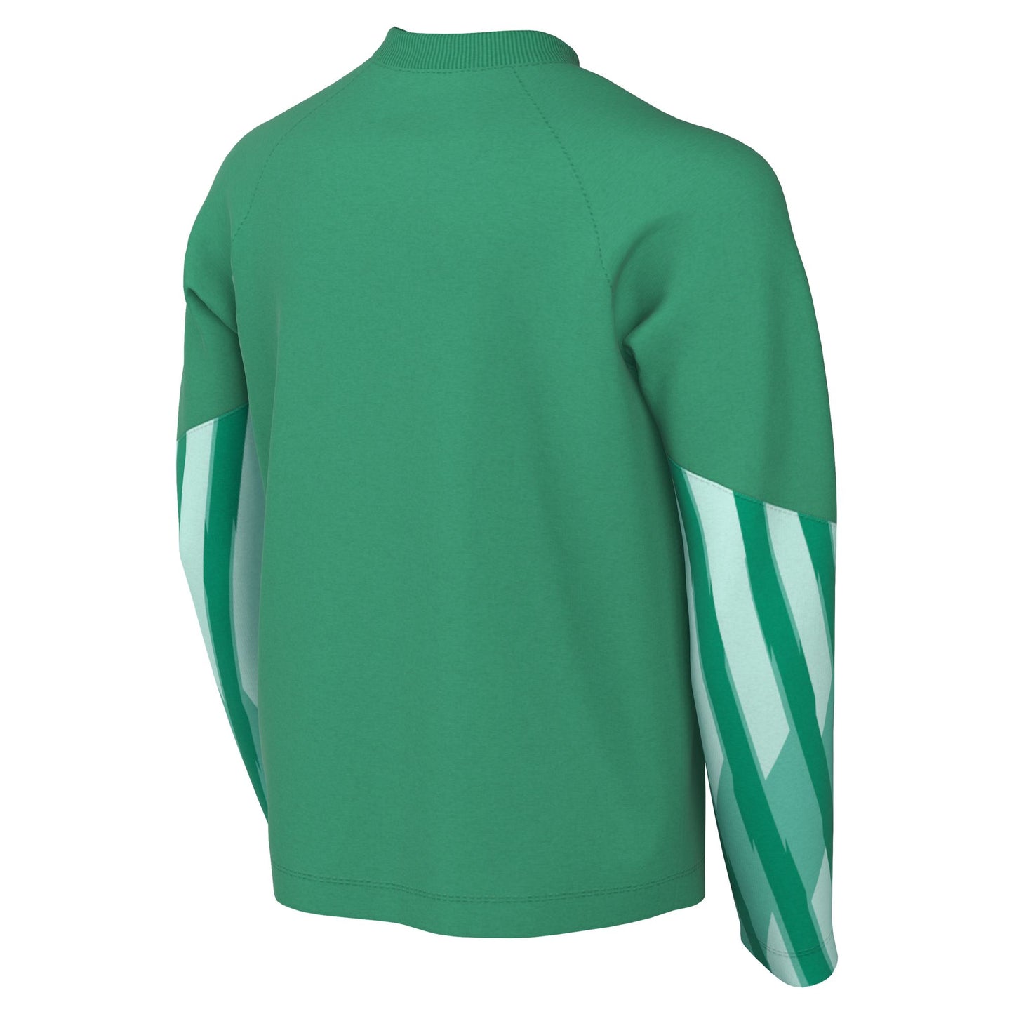 Nike Park V LS GK Jersey Senior