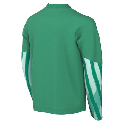 Nike Park V LS GK Jersey Senior