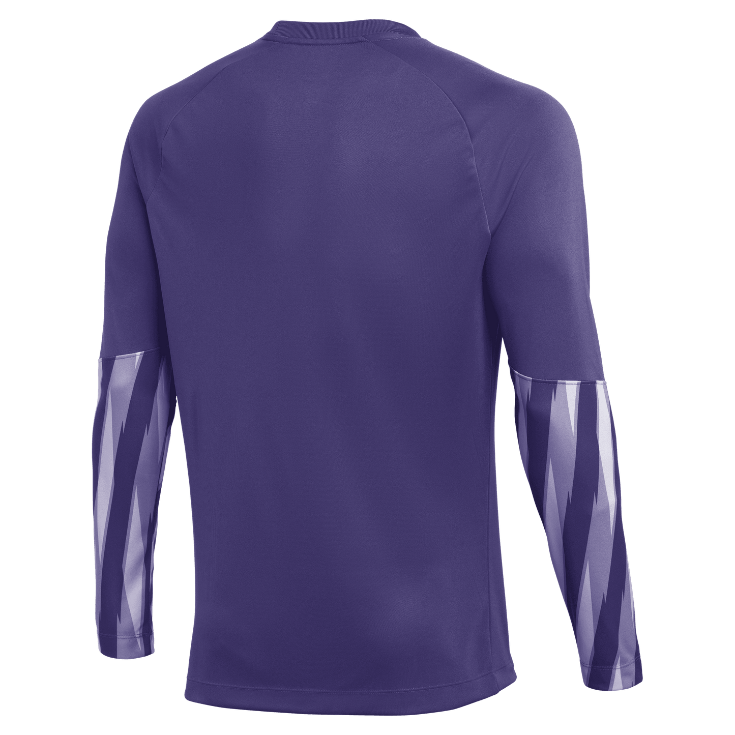 Nike Park V LS GK Jersey Senior