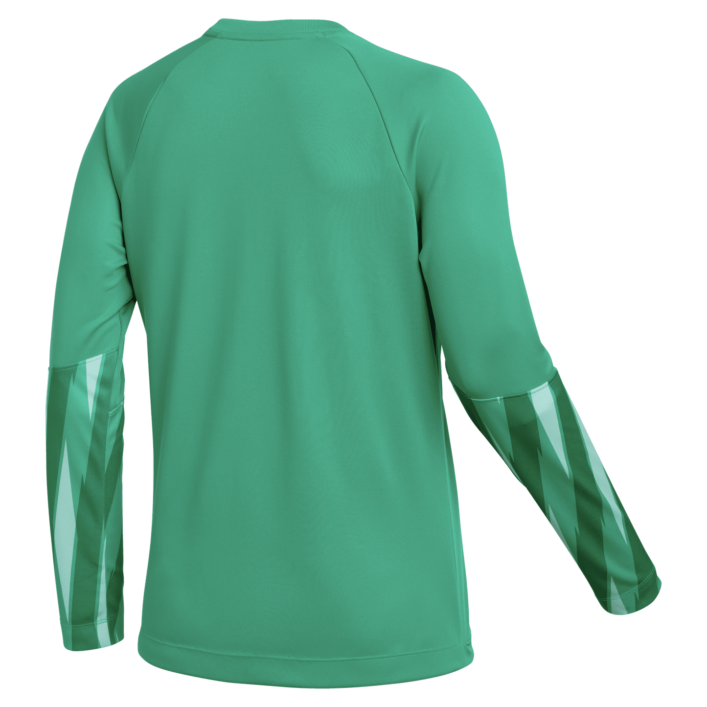 Nike Park V LS GK Jersey Women's