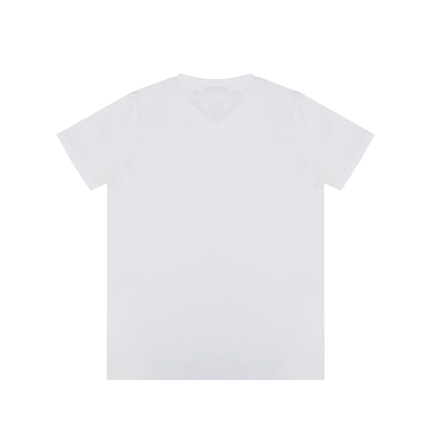 Alt 1