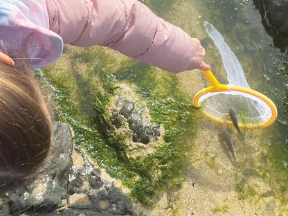 Pond Dipping Kit