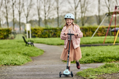 Ride-Ezy Kick Scooter