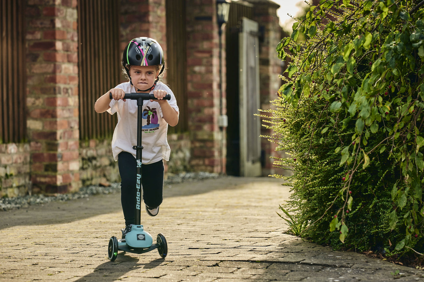 Ride-Ezy Kick Scooter