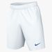 Nike Park III Knit Short Senior